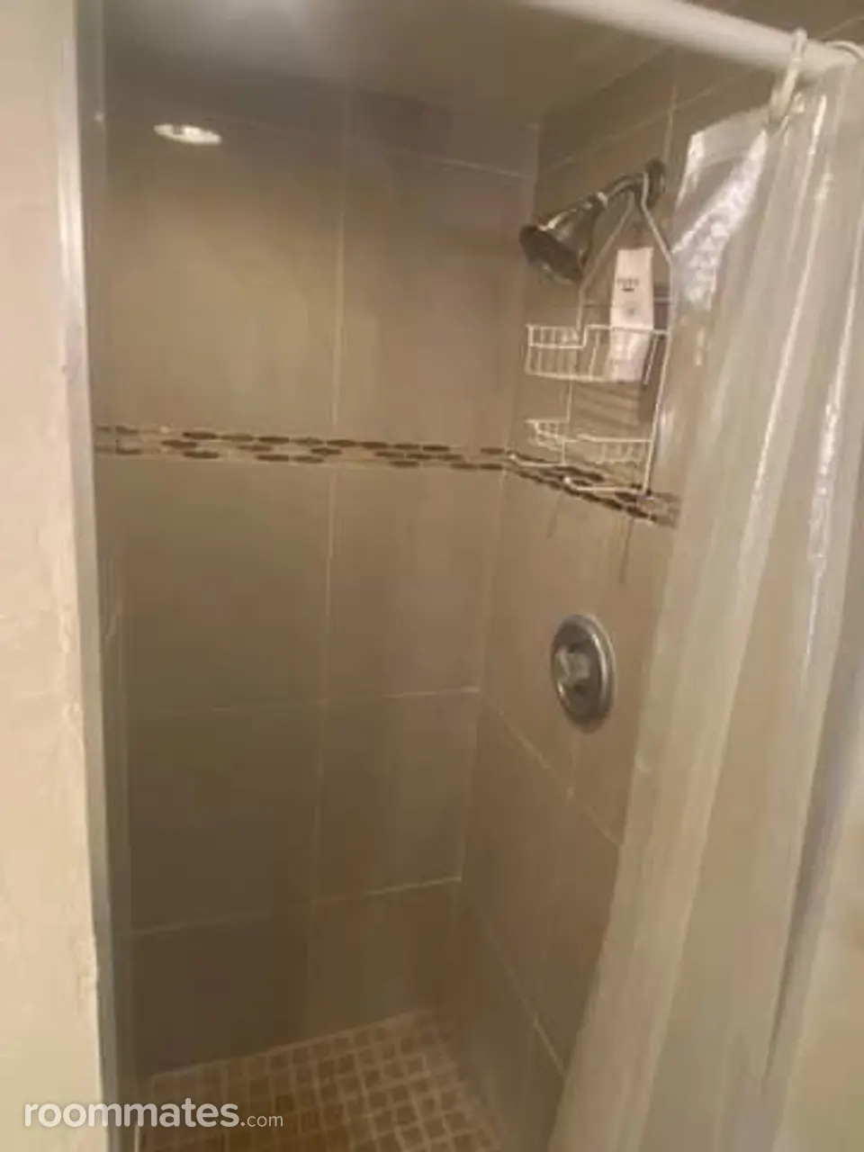 Profile photo 6 of 7