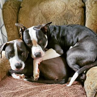 Room for rent in Lynnwood, WA $1100, house