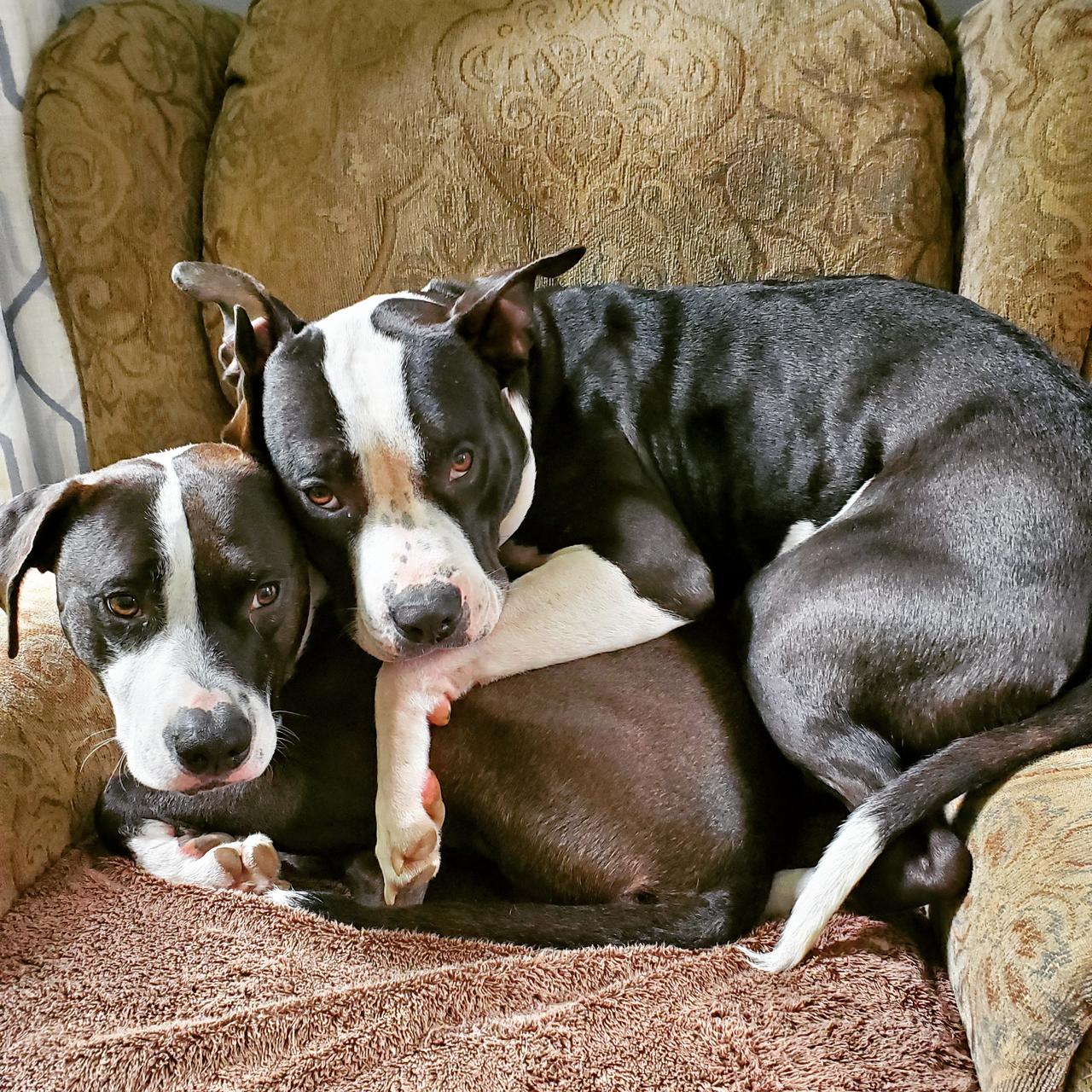 Profile photo 1 of 2