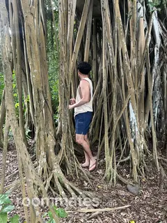 Roommate looking Chattanooga, TN, $600
