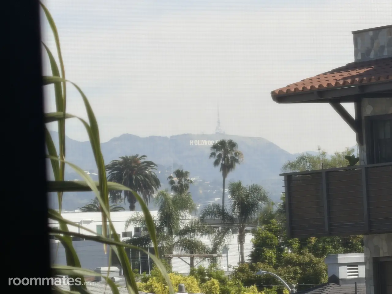 Profile photo 2 of 11