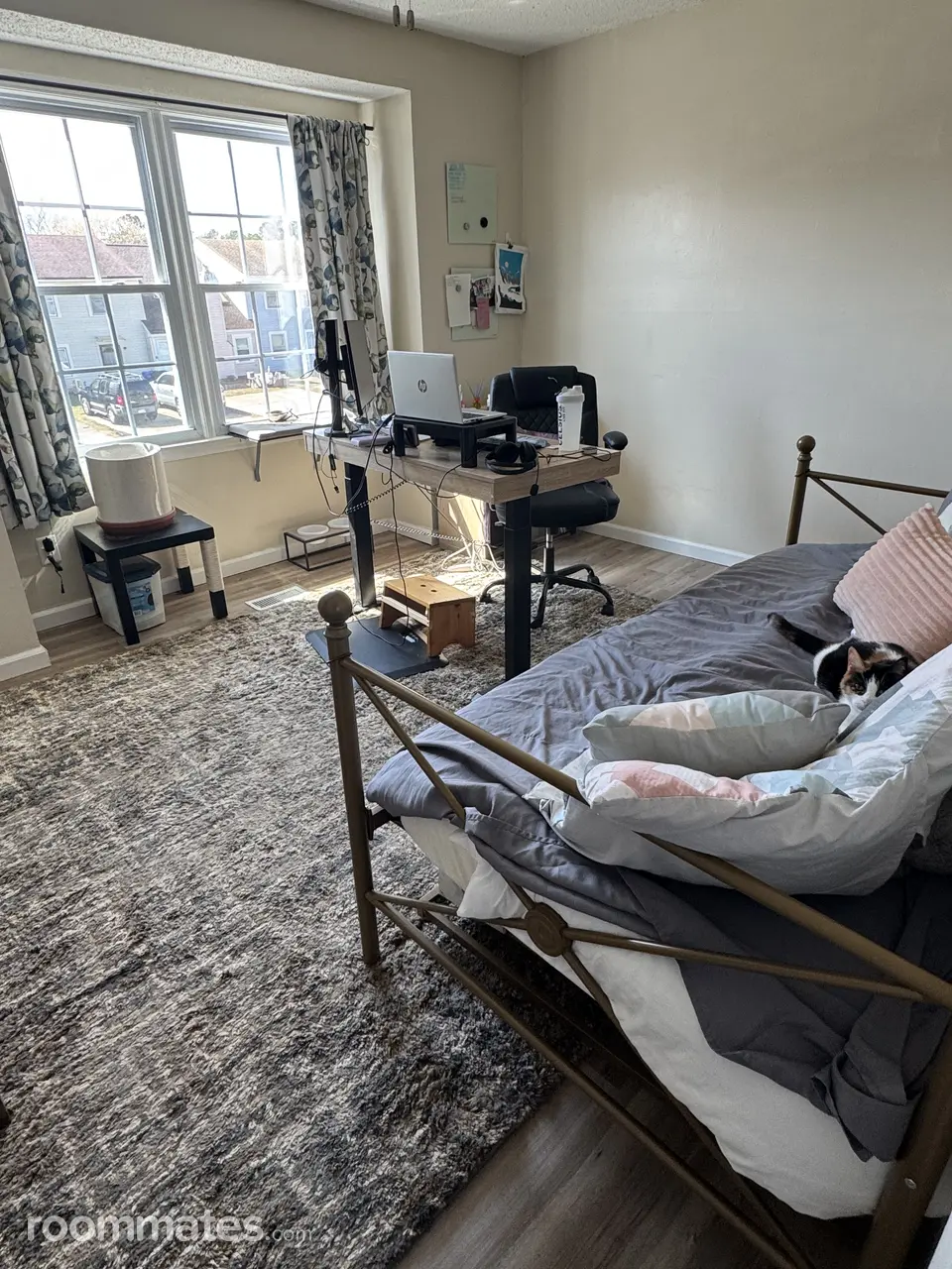 Profile photo 4 of 6