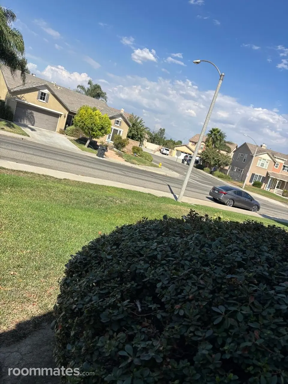 Profile photo 1 of 8