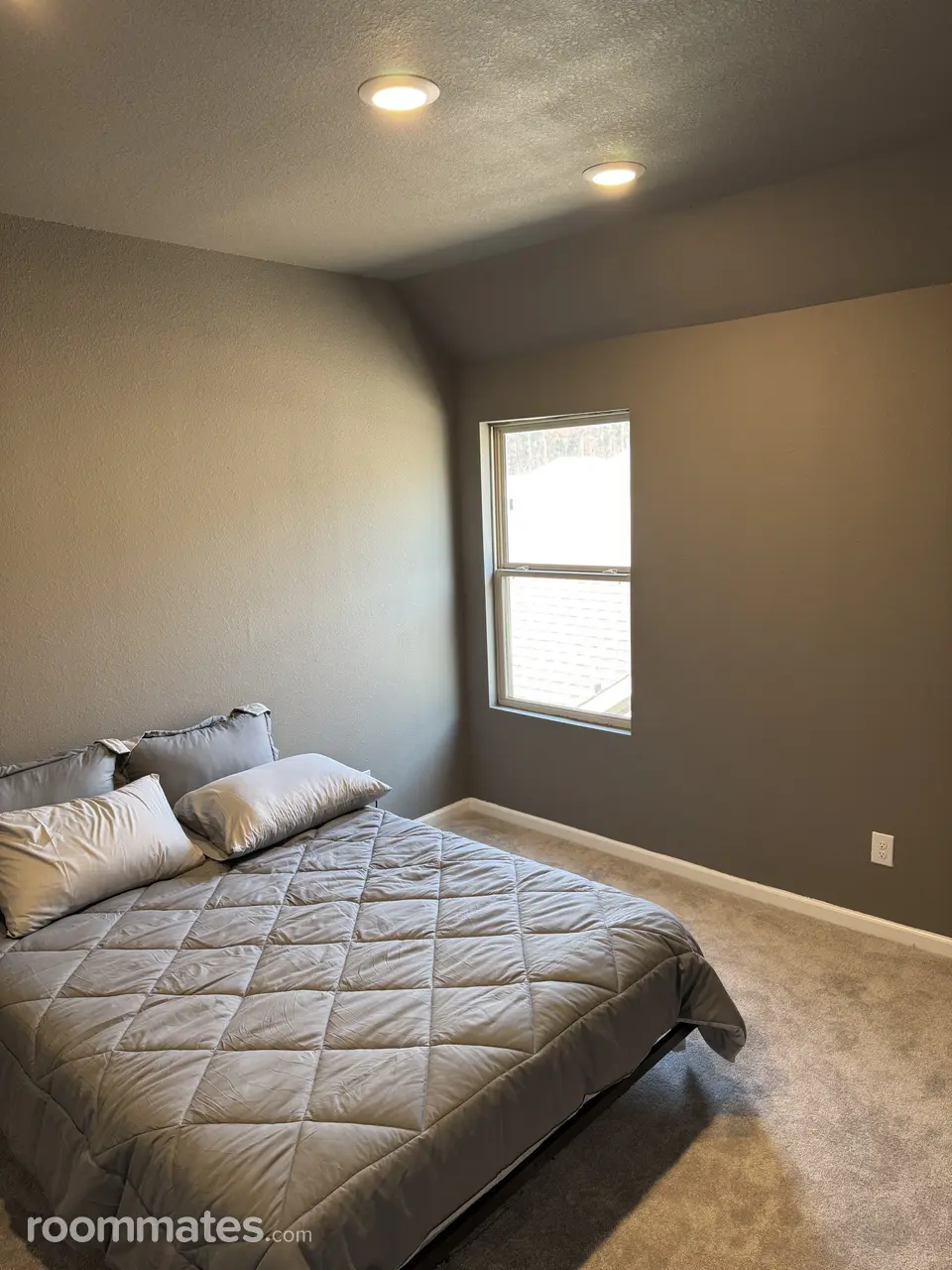 Profile photo 4 of 14