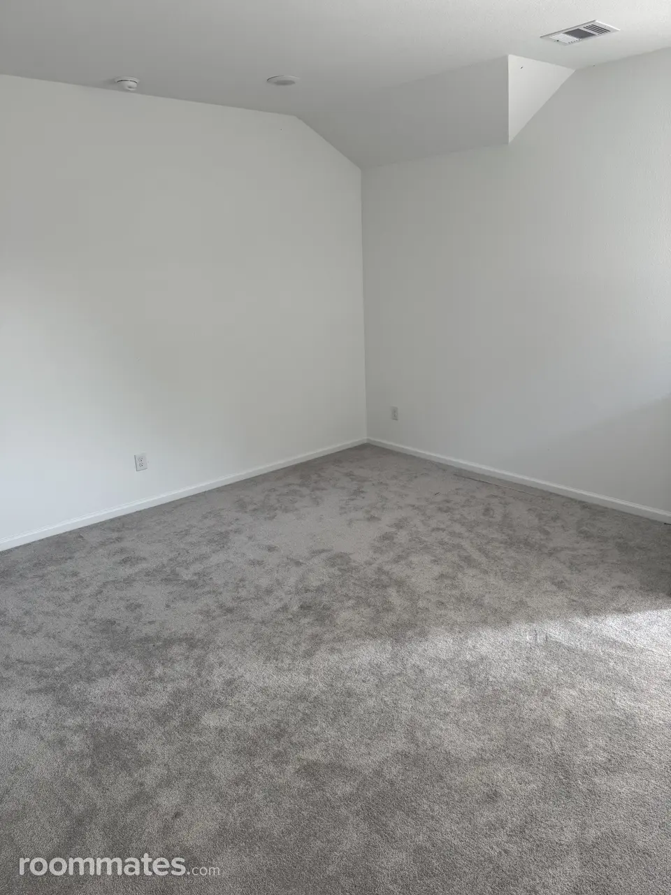 Profile photo 8 of 14