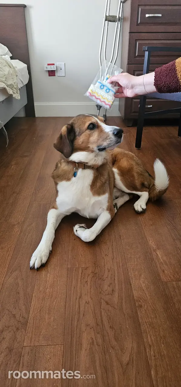 Profile photo 2 of 4