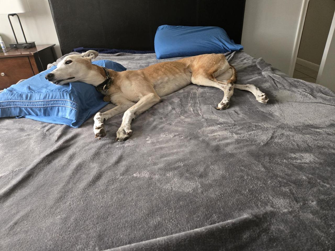 Profile photo 6 of 8