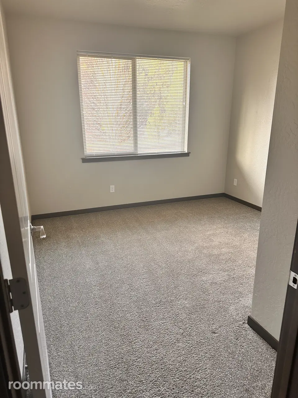 Profile photo 10 of 11