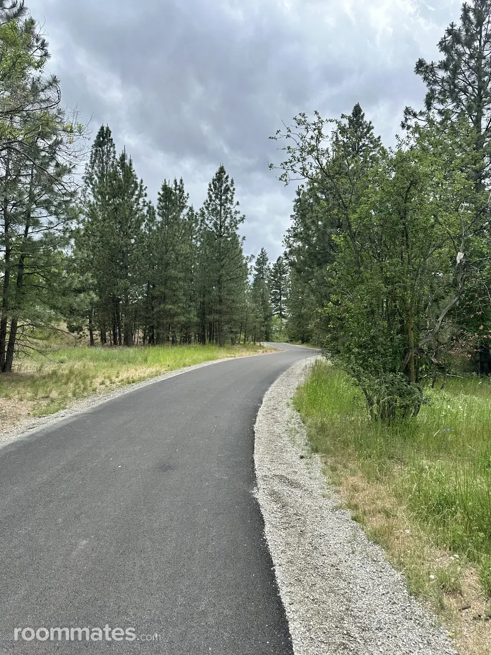 Profile photo 2 of 11