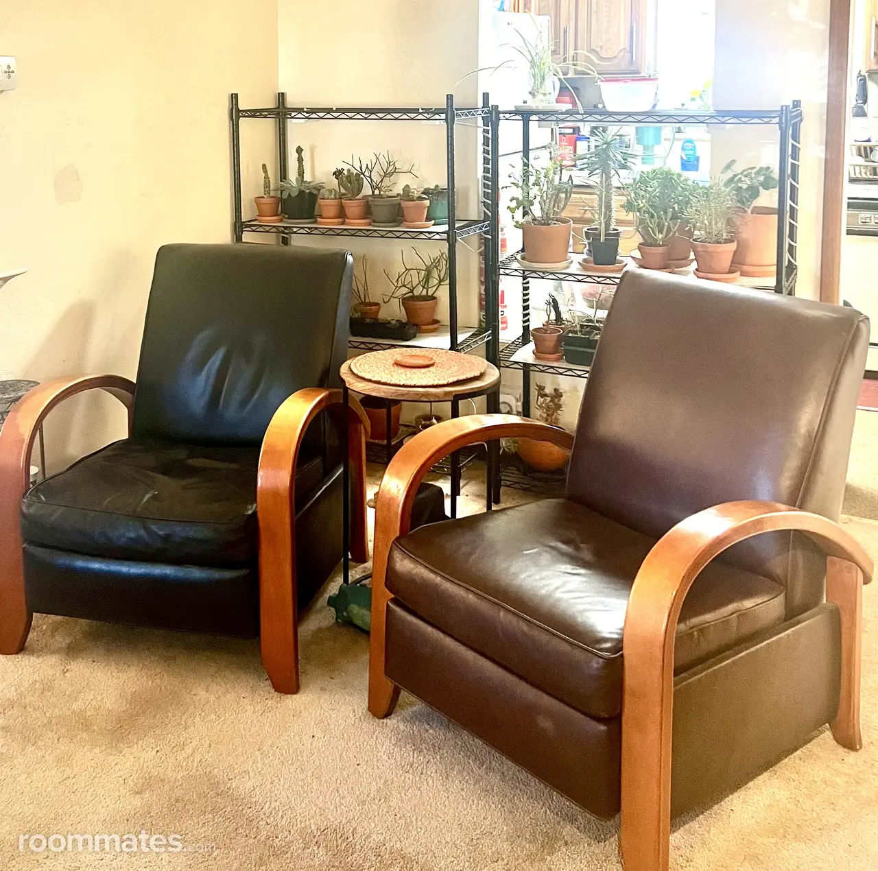 Profile photo 3 of 14