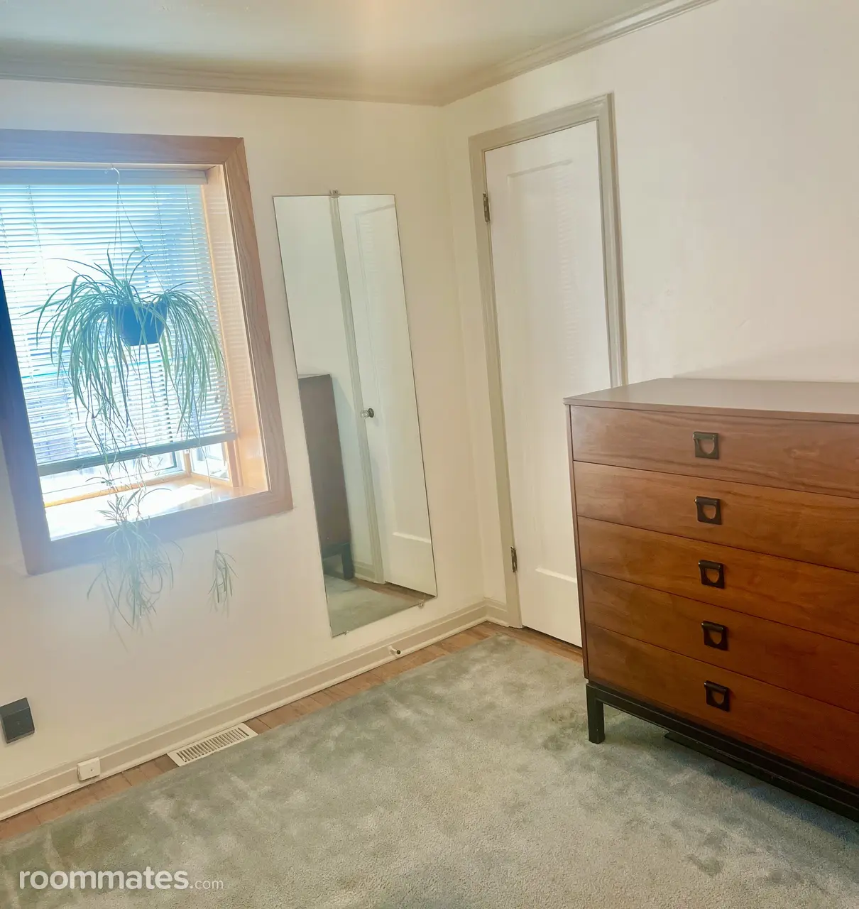 Profile photo 7 of 13