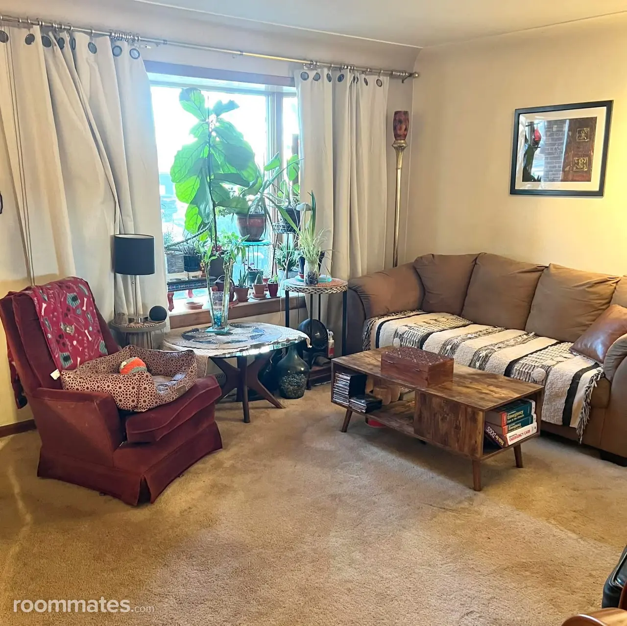 Room for rent in Wheat Ridge CO $825, house