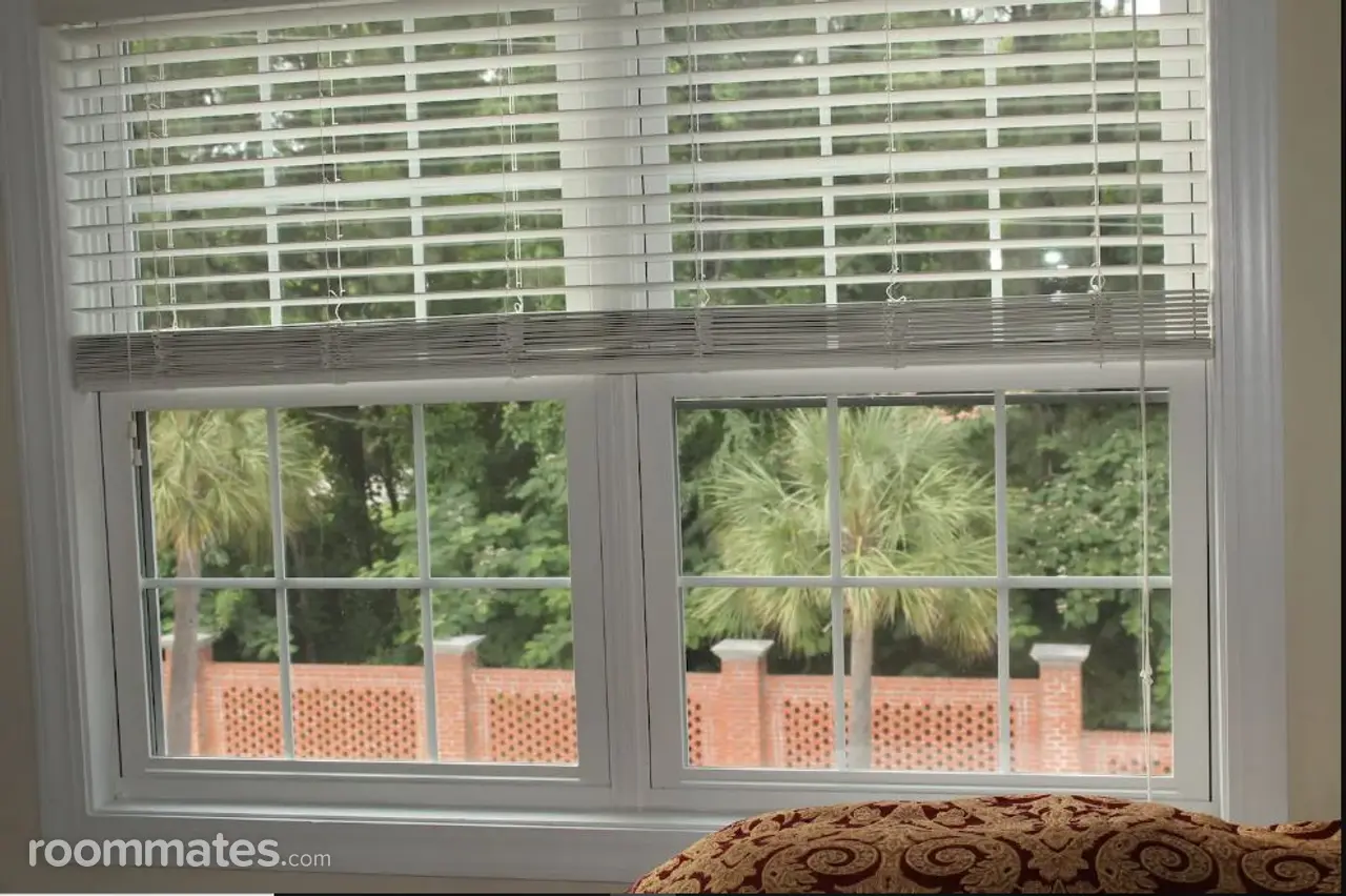 Profile photo 4 of 12