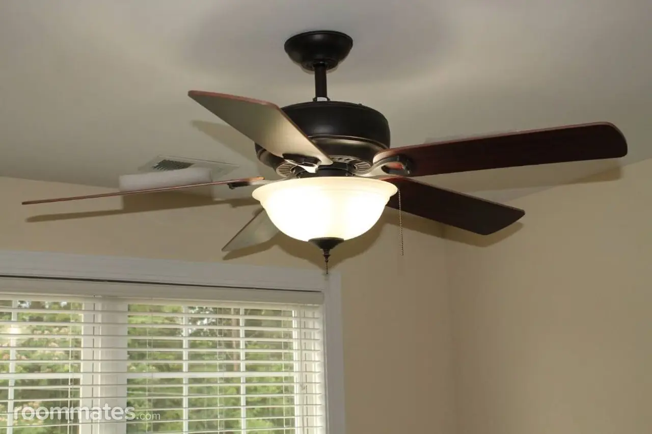 Profile photo 3 of 12