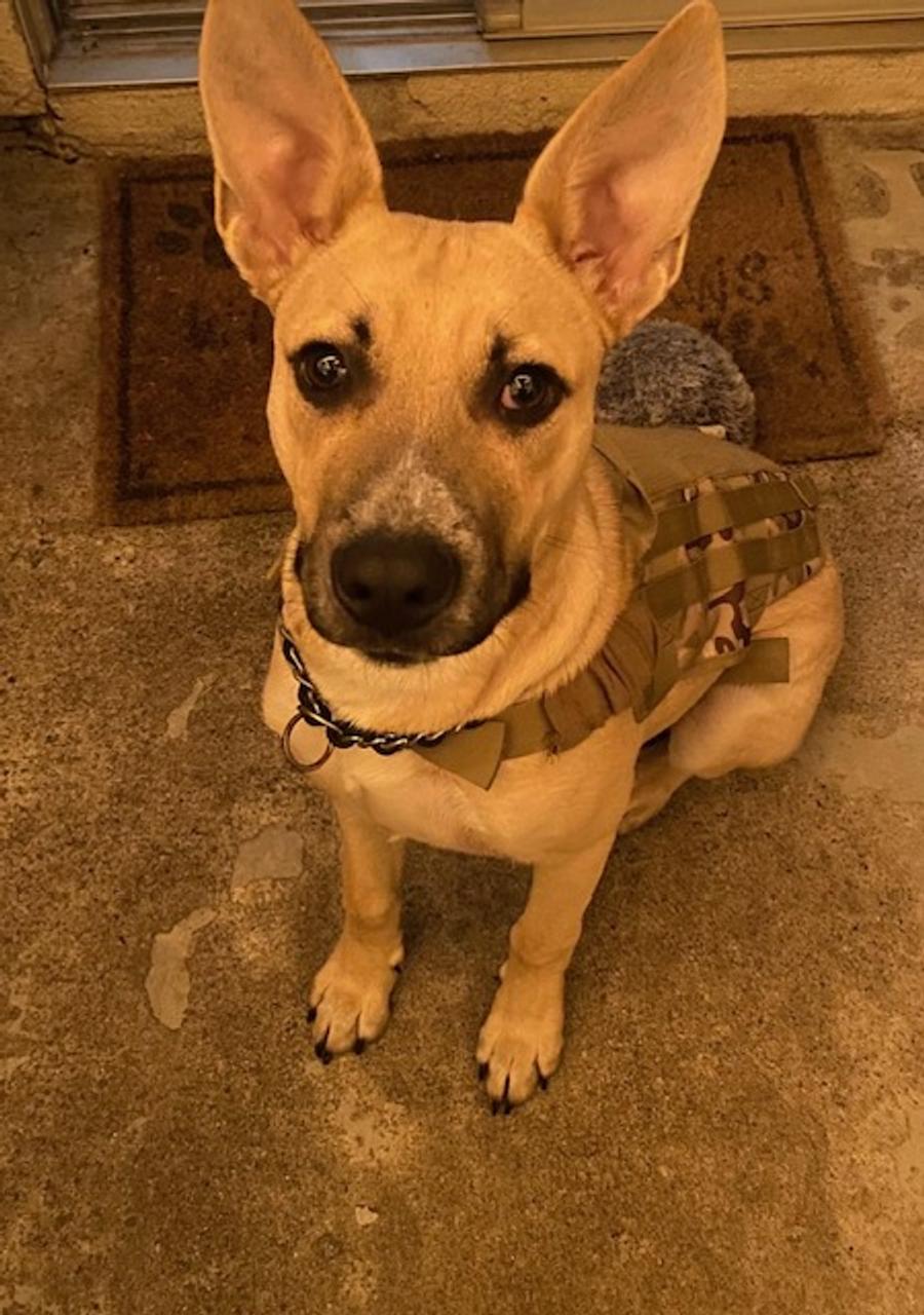 Profile photo 7 of 7