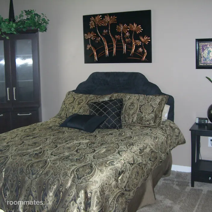 Room for rent in Wesley Chapel, FL $1000, house