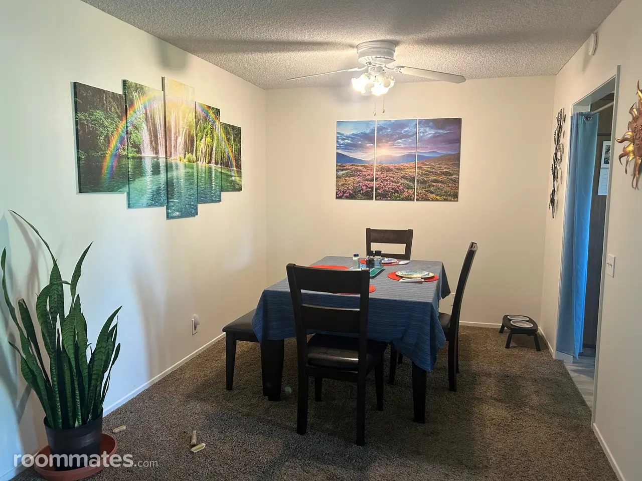 Profile photo 6 of 7