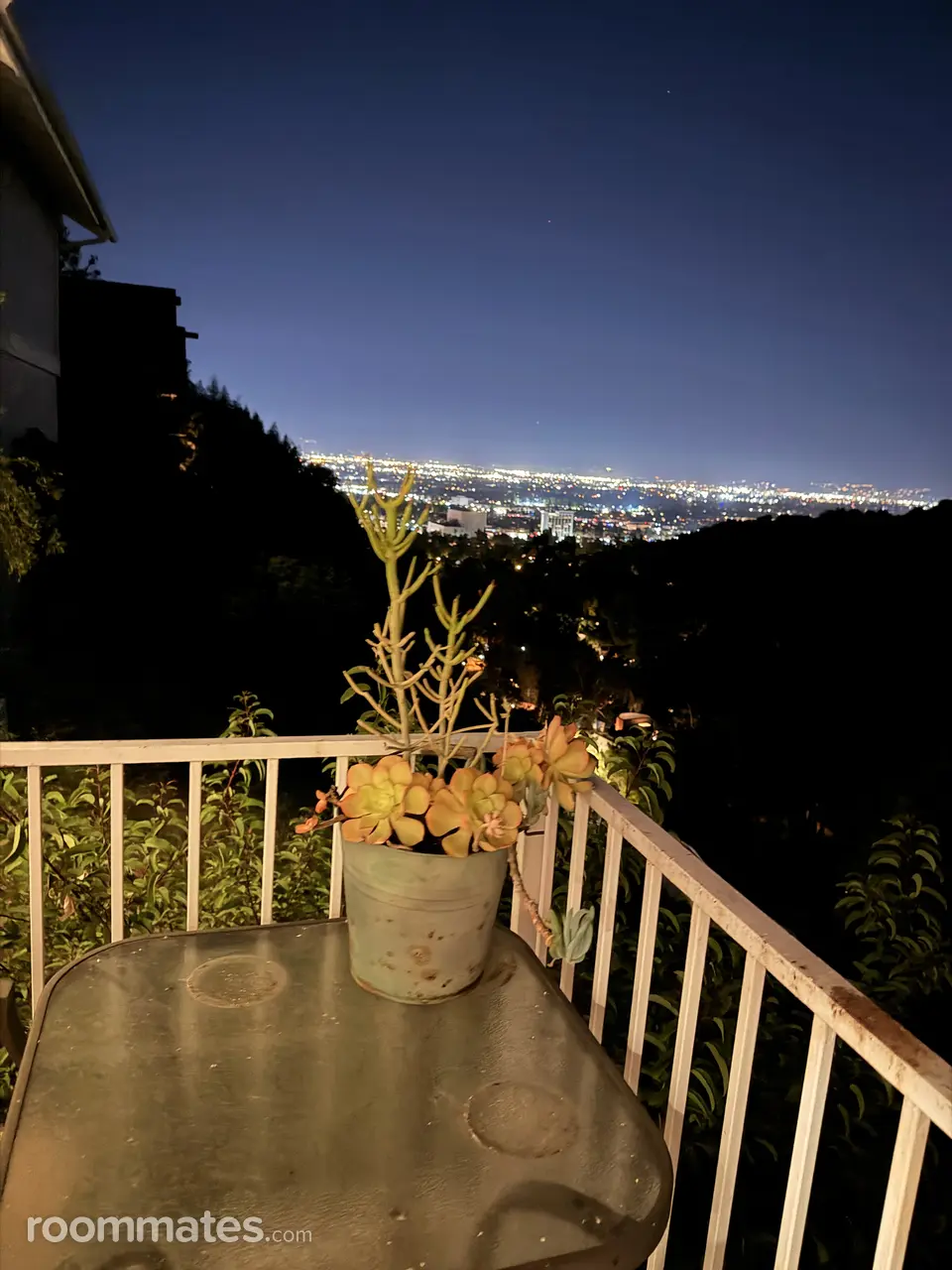 Profile photo 4 of 11