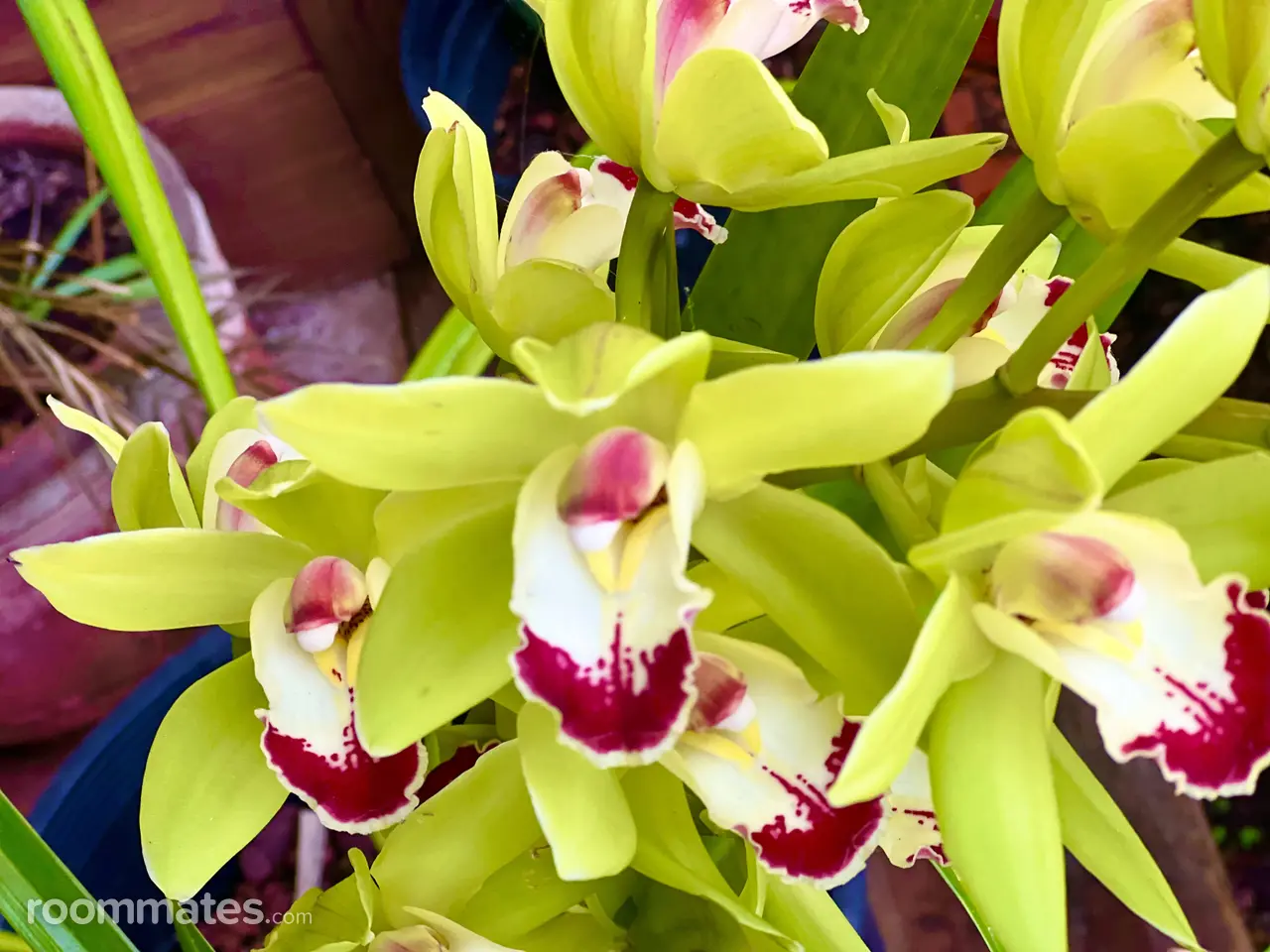 Profile photo 4 of 4