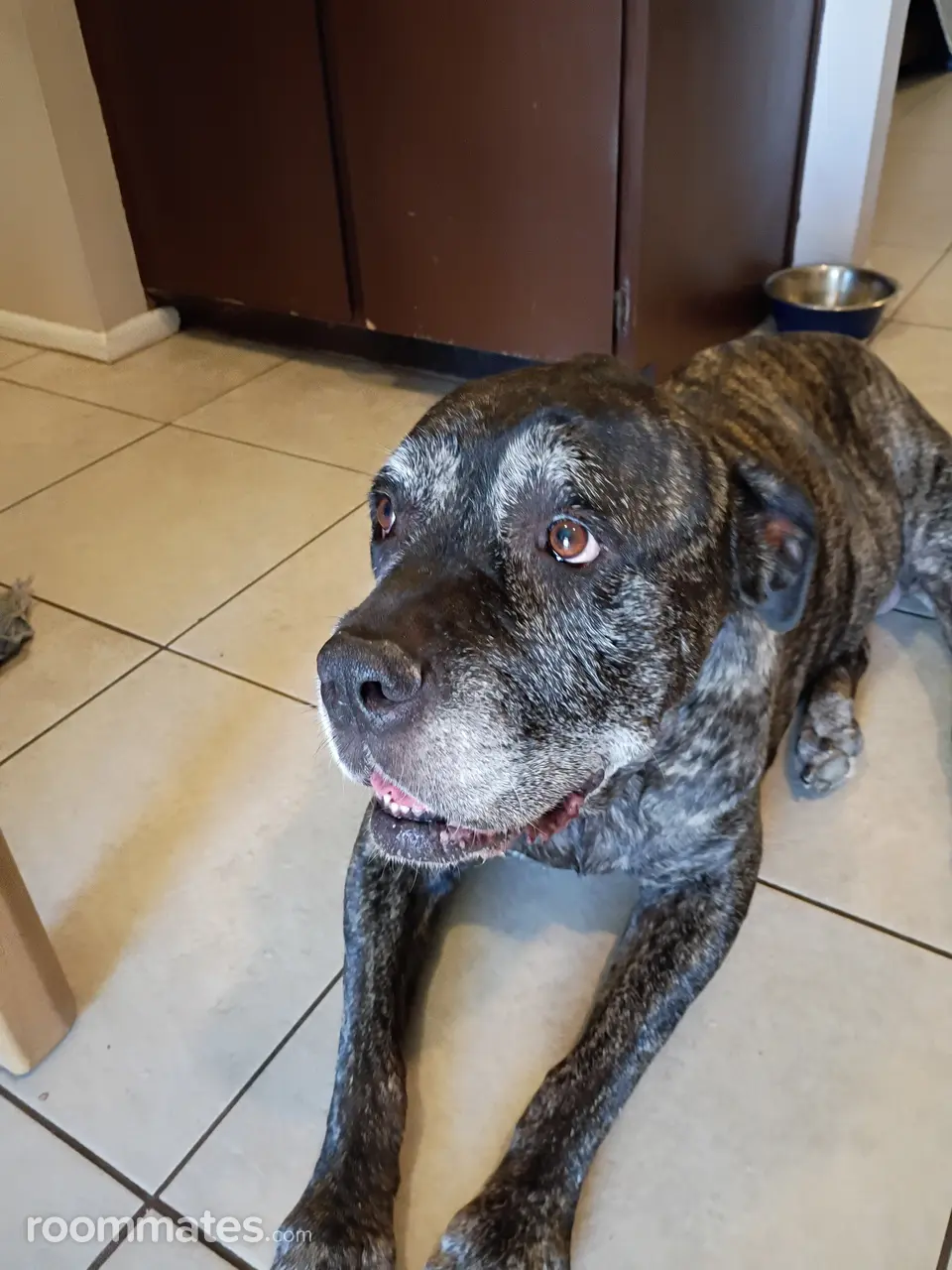 Profile photo 18 of 20