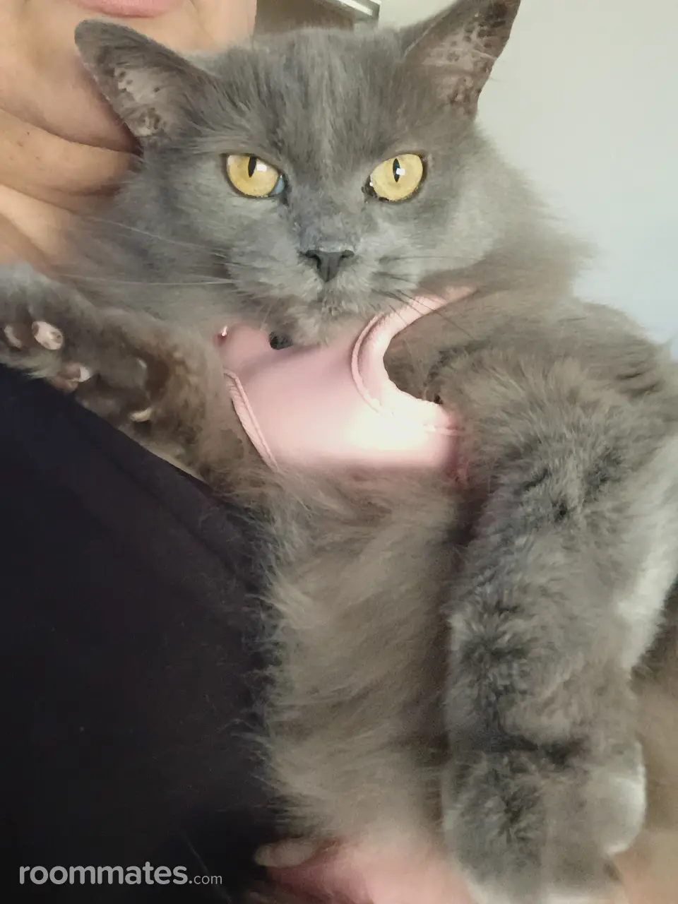 Profile photo 14 of 20