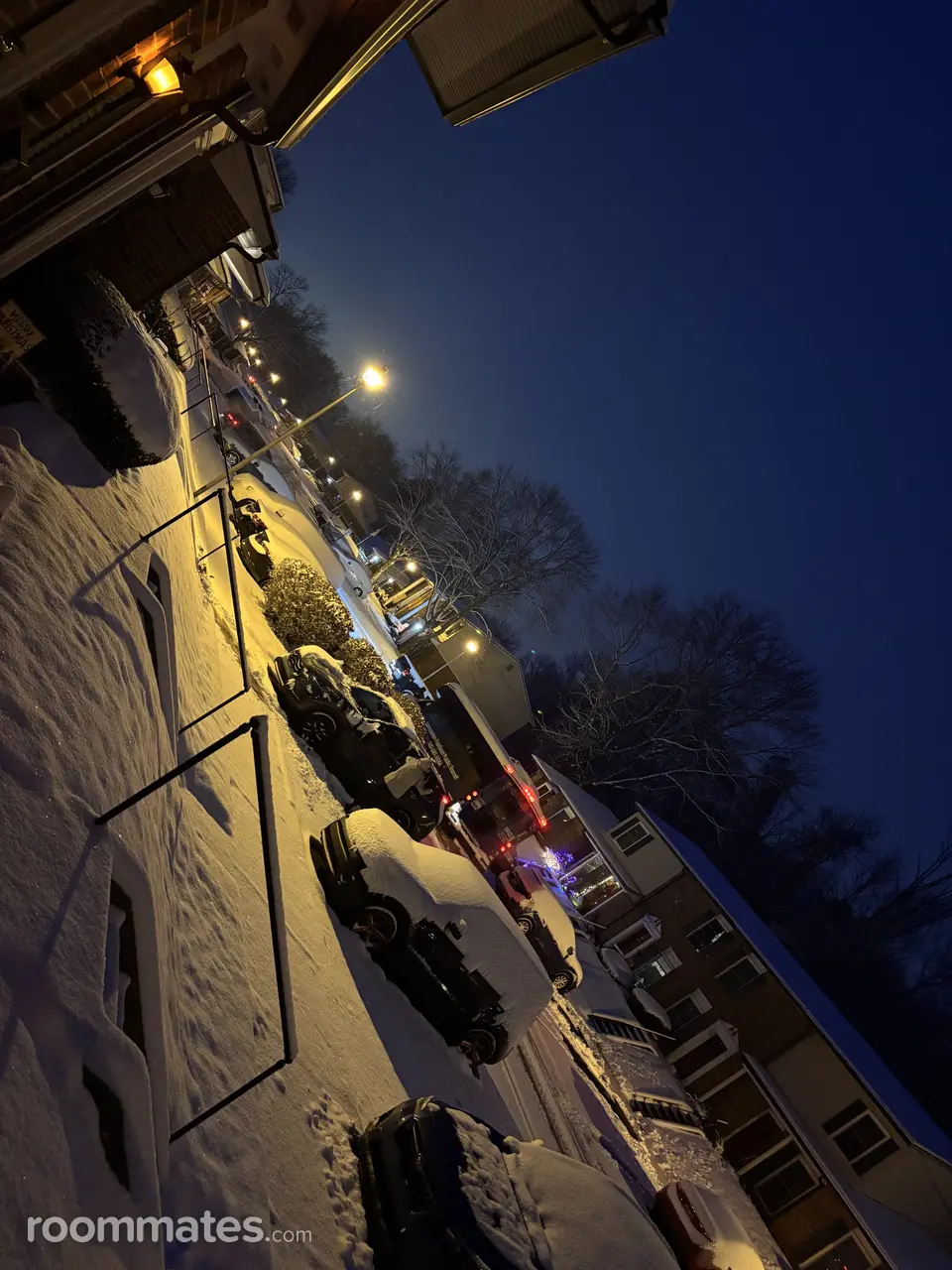 Profile photo 2 of 14