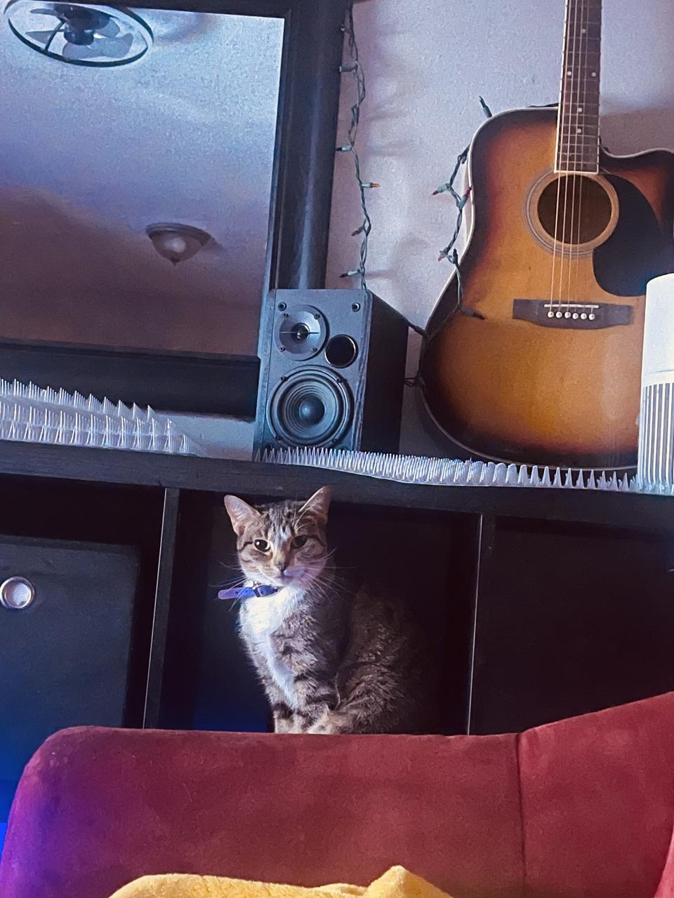 Profile photo 11 of 17