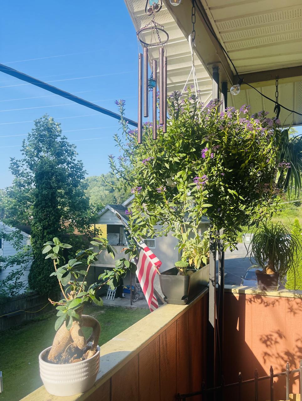 Profile photo 15 of 17