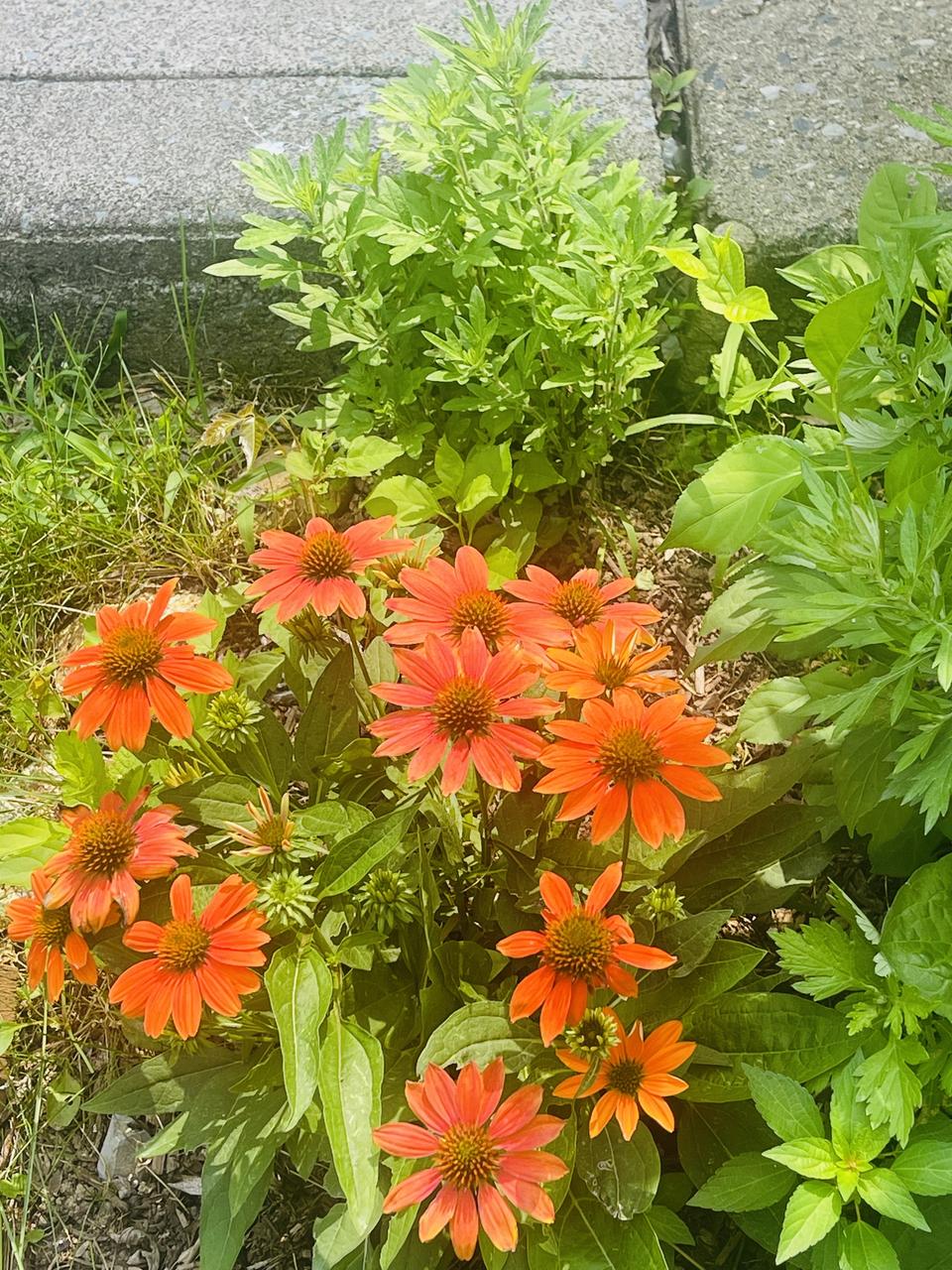 Profile photo 16 of 17