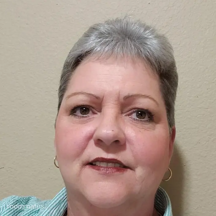 Roommate looking Conroe, TX, $500