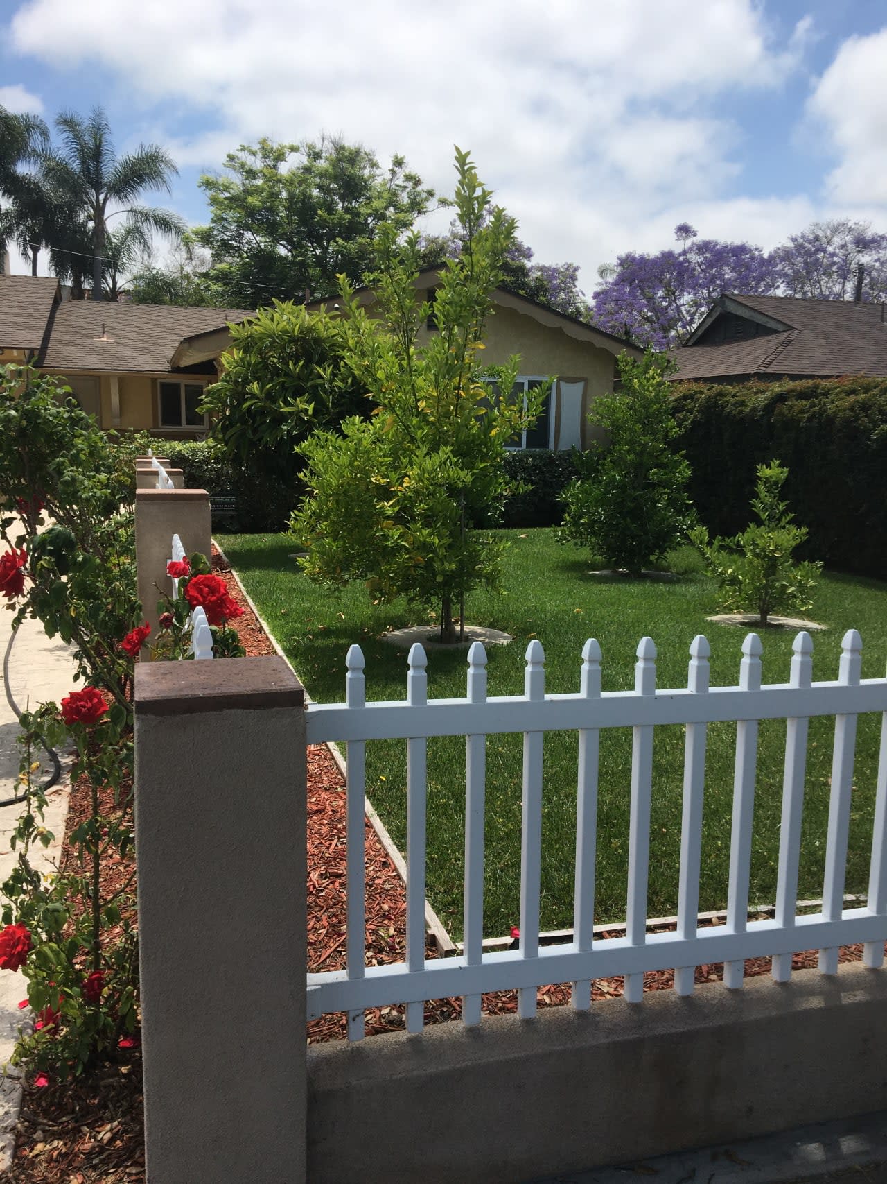 Profile photo 1 of 2