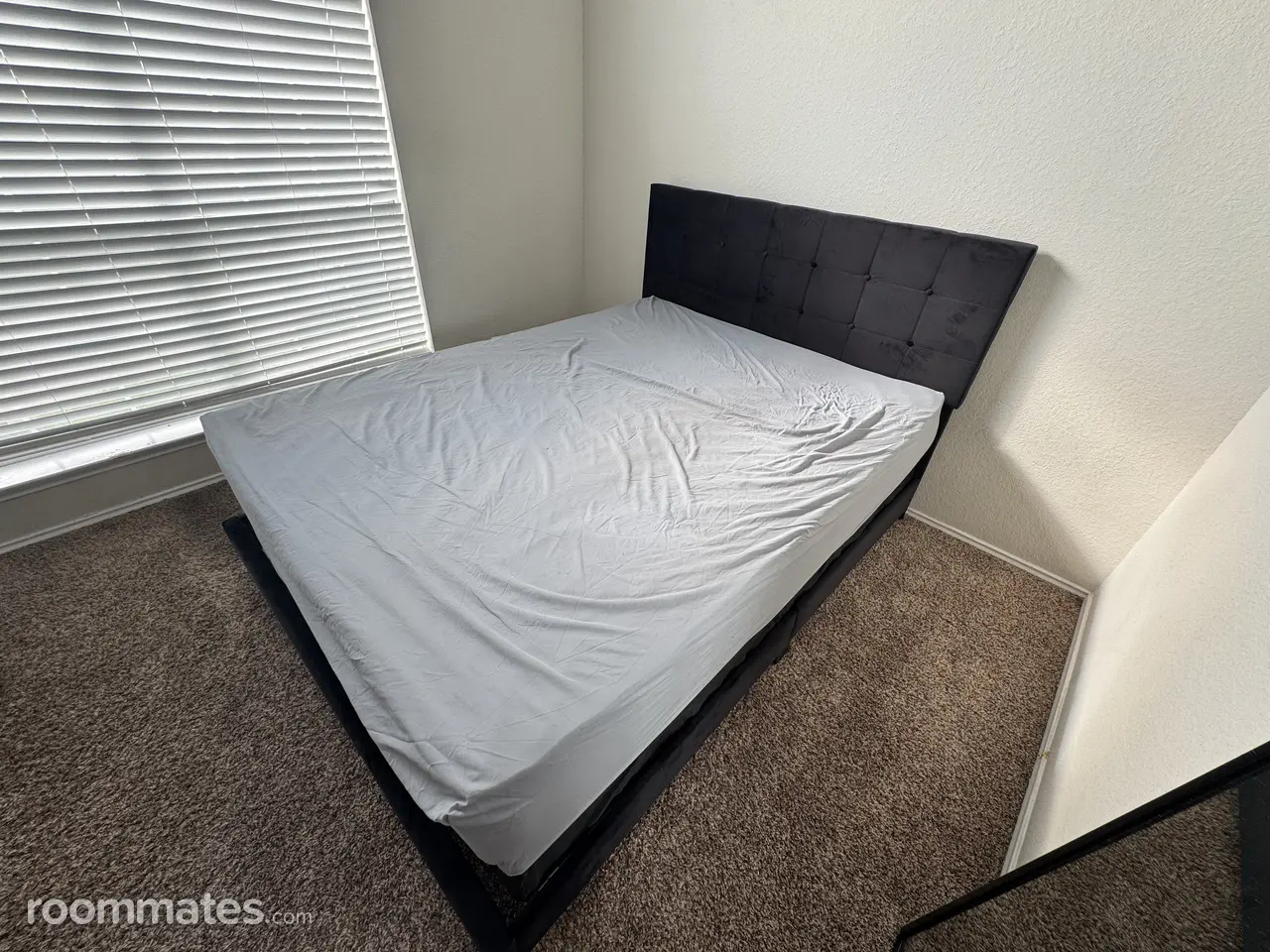 Profile photo 2 of 6