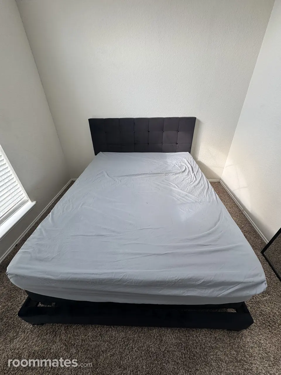 Profile photo 4 of 6