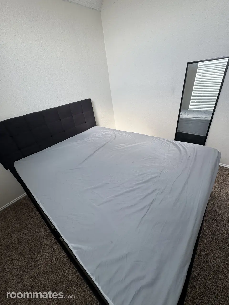 Profile photo 5 of 6