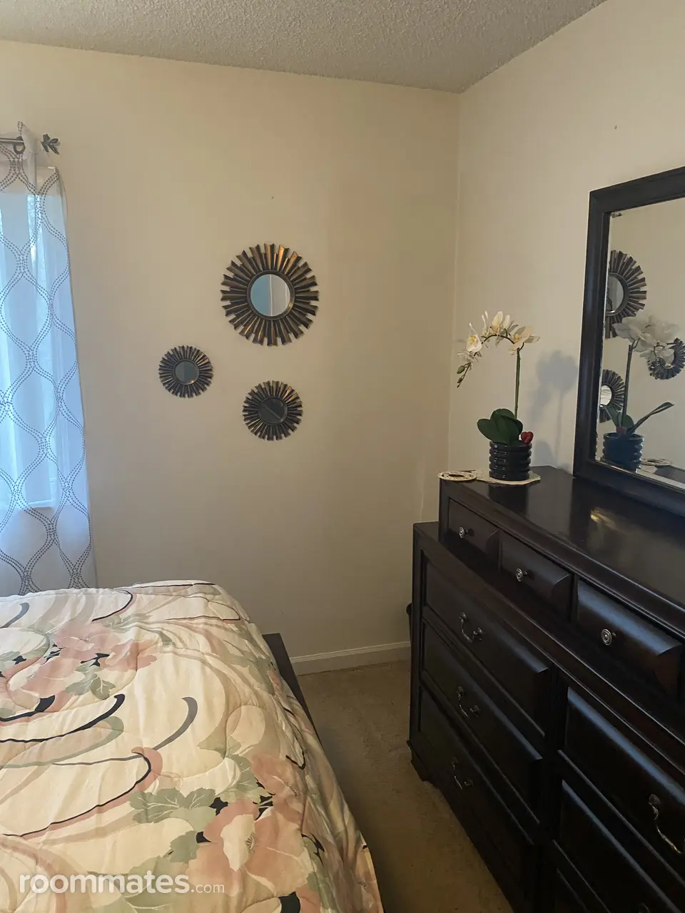 Profile photo 3 of 8