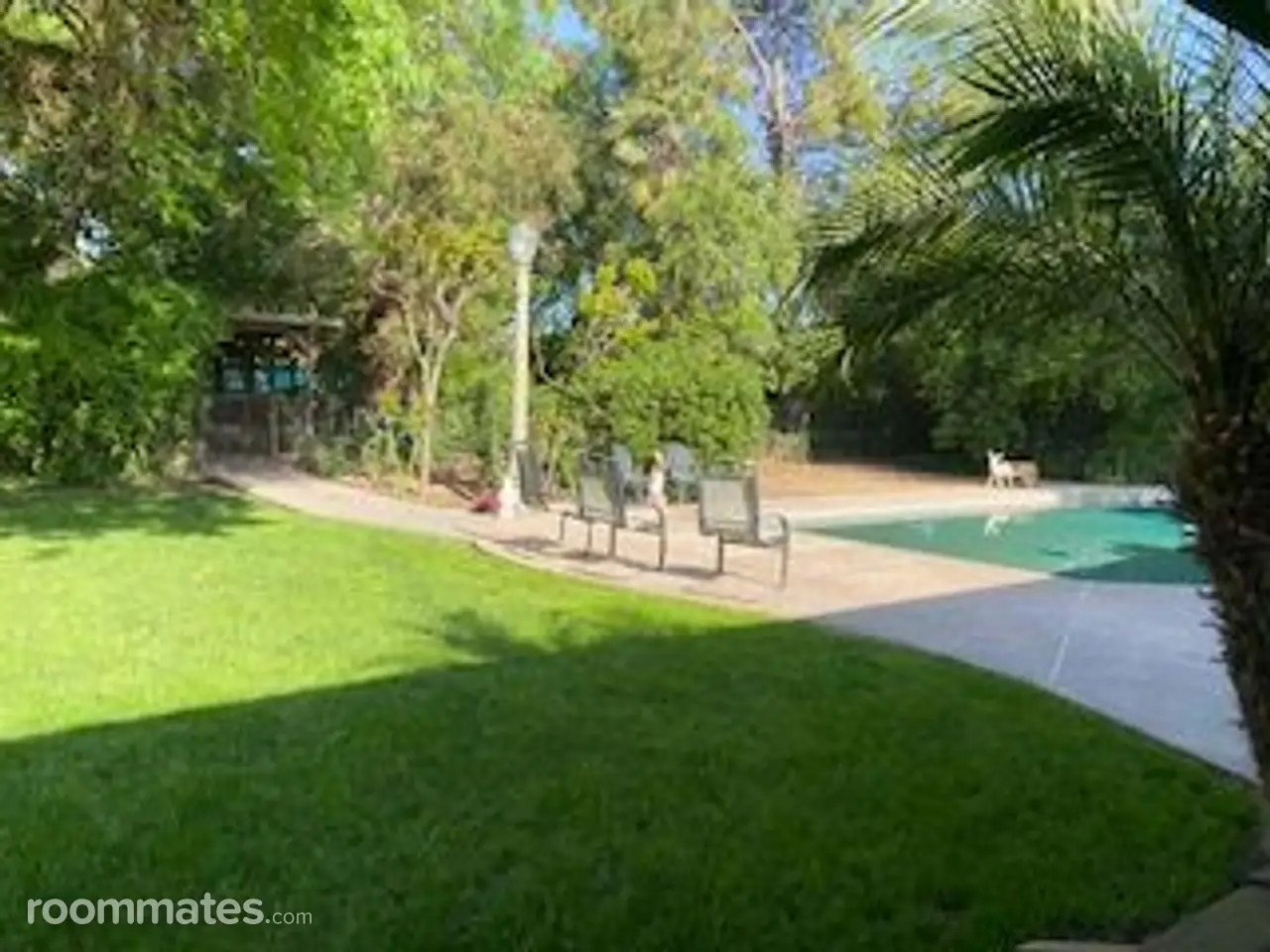 Profile photo 10 of 11