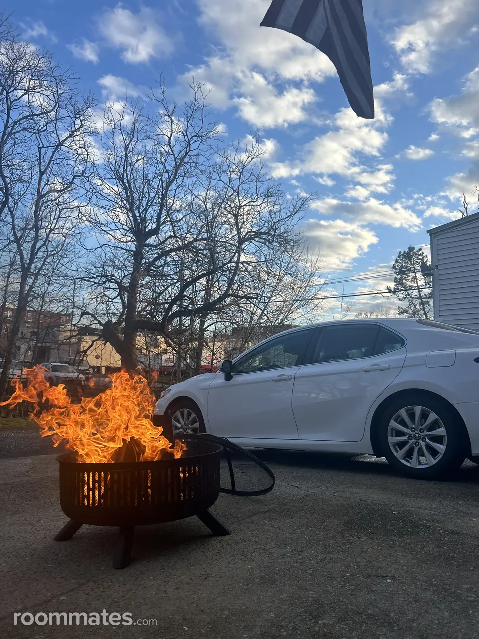 Profile photo 6 of 6