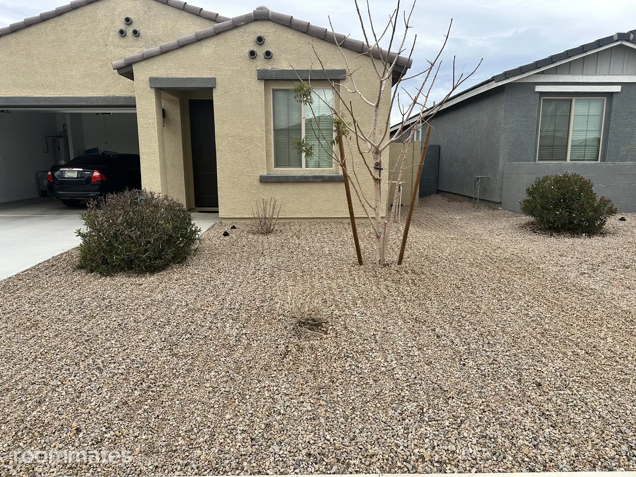 Profile photo 2 of 11