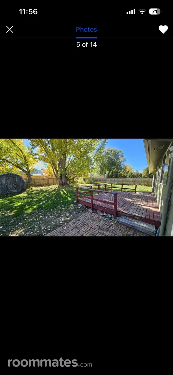 Profile photo 9 of 13