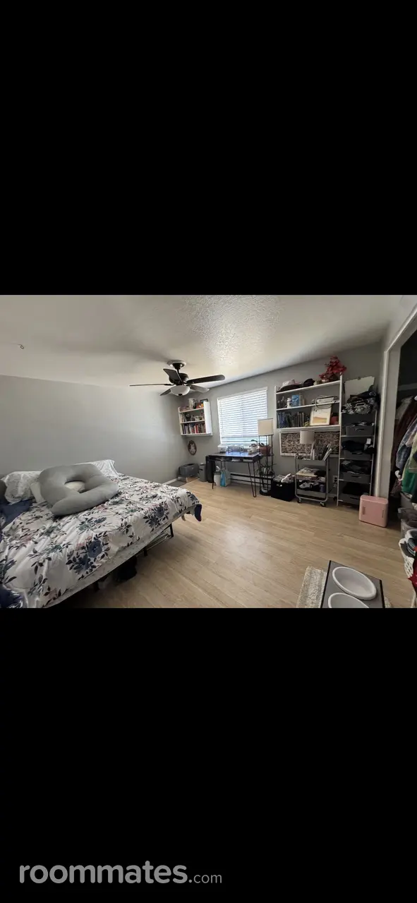 Profile photo 4 of 13