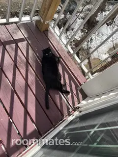 Room for rent in Manchester NH $950, apartment