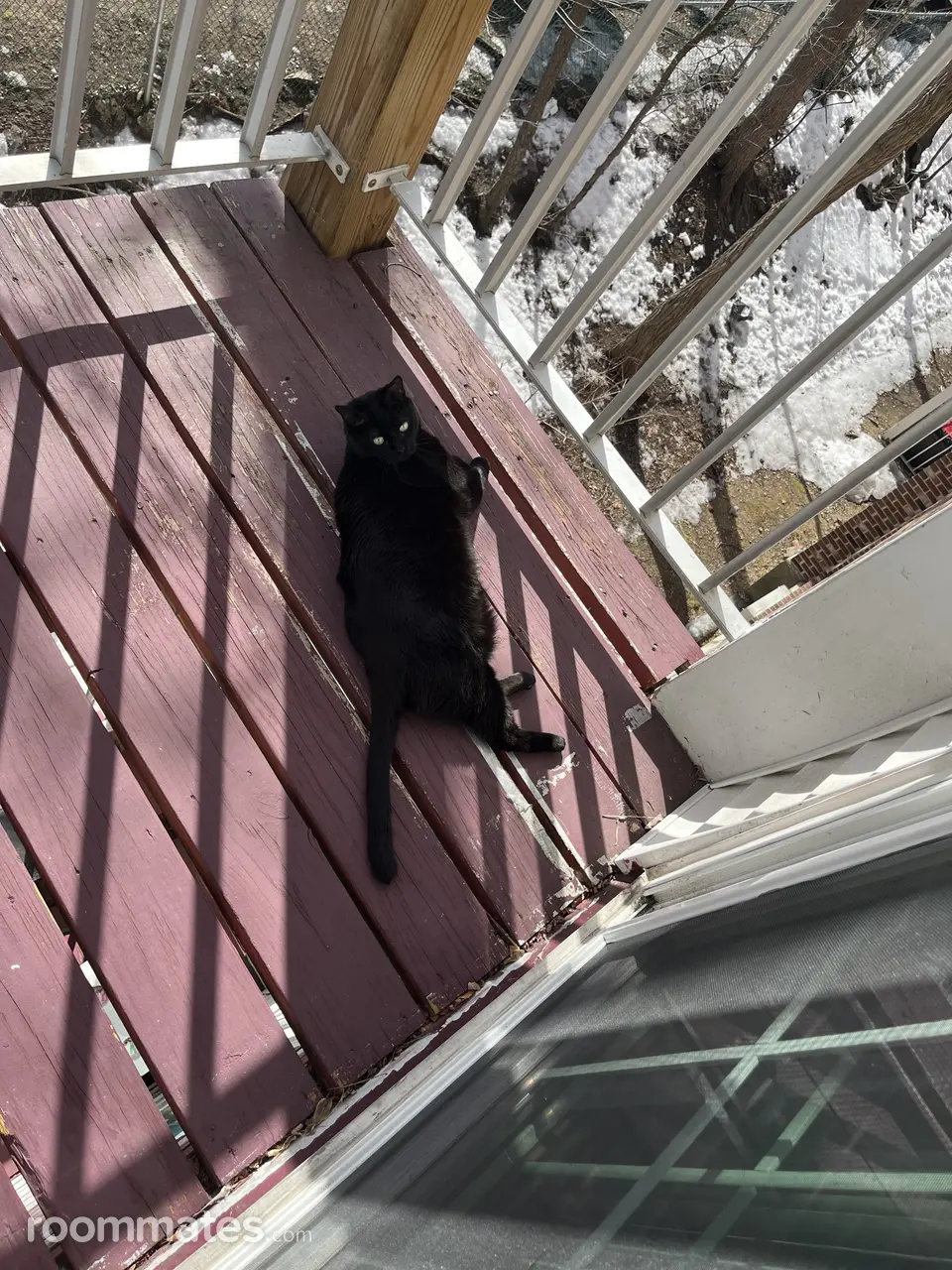 Profile photo 6 of 7