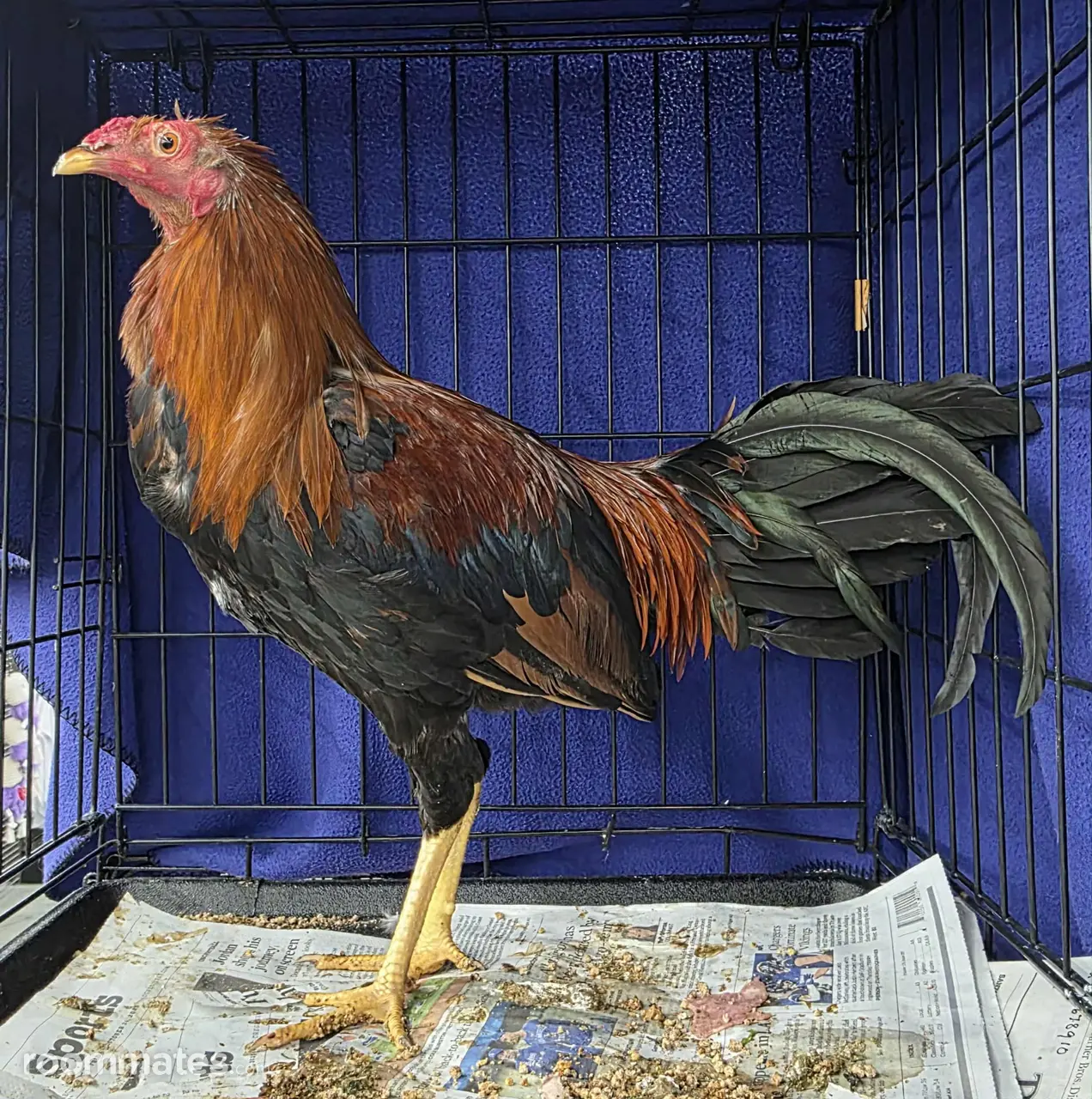 Profile photo 2 of 2