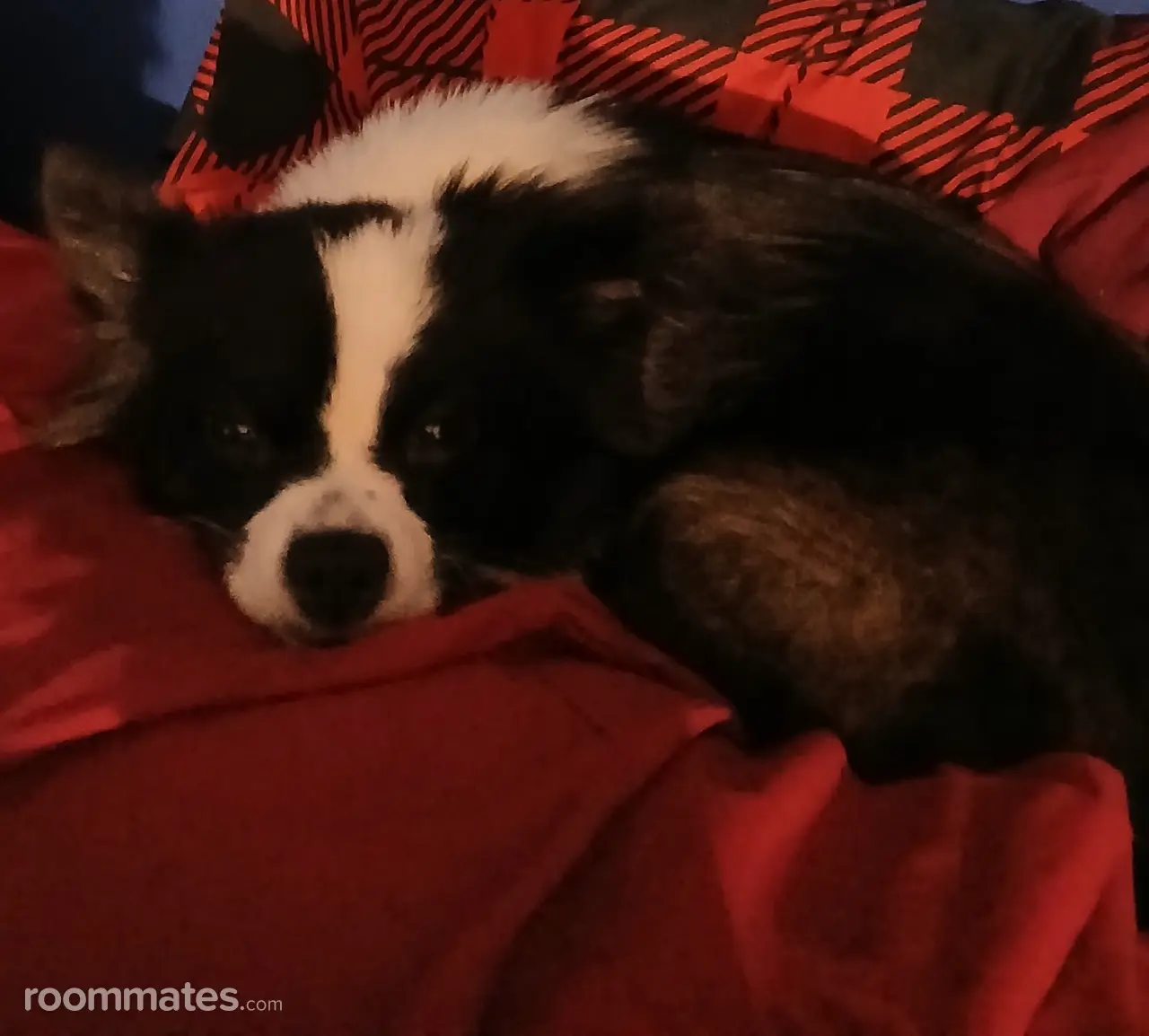 Profile photo 1 of 2