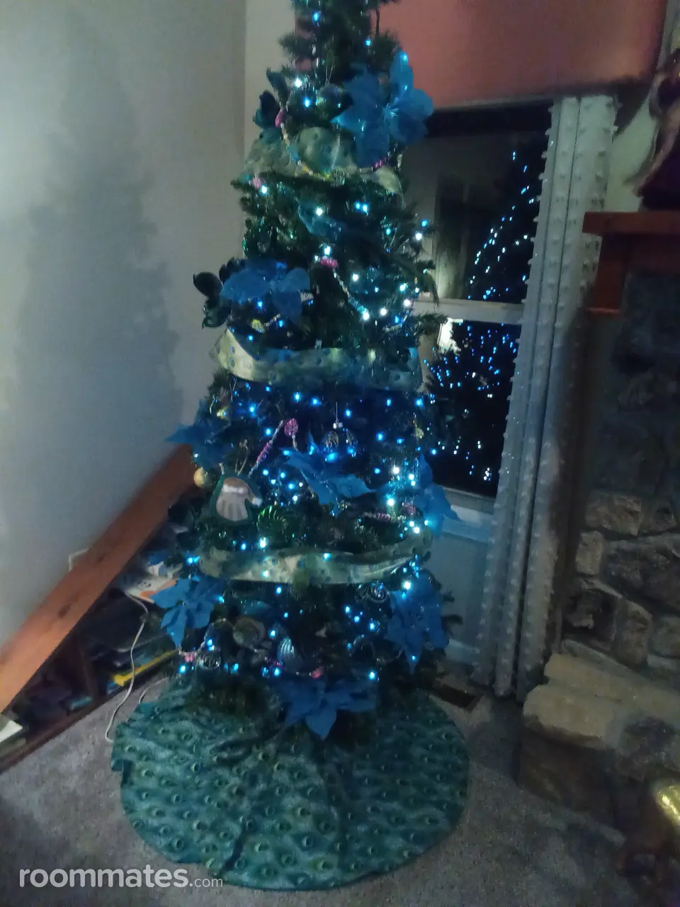 Profile photo 13 of 17