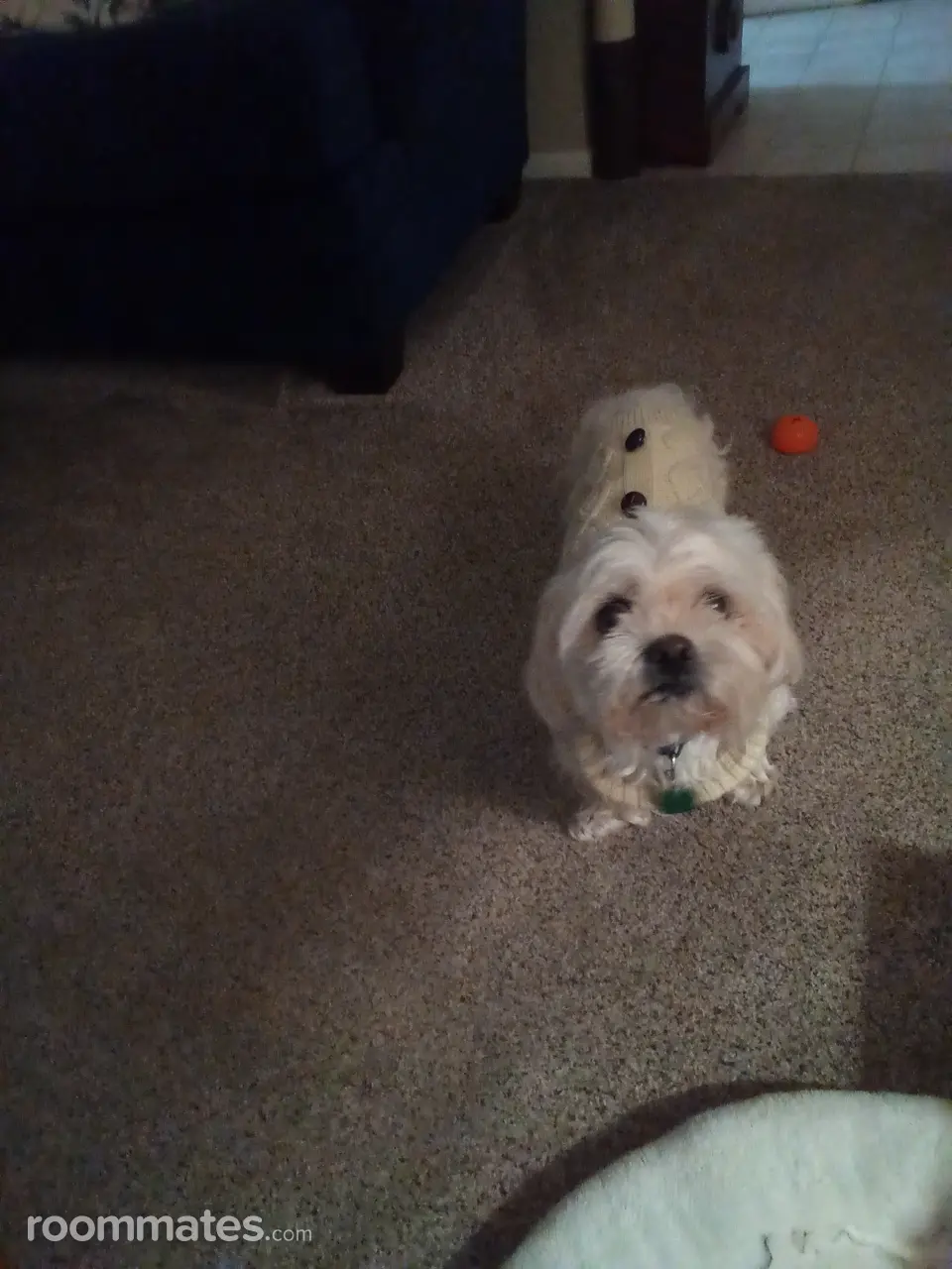 Profile photo 11 of 17