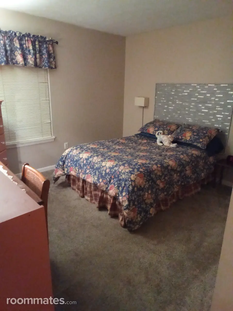 Profile photo 14 of 17