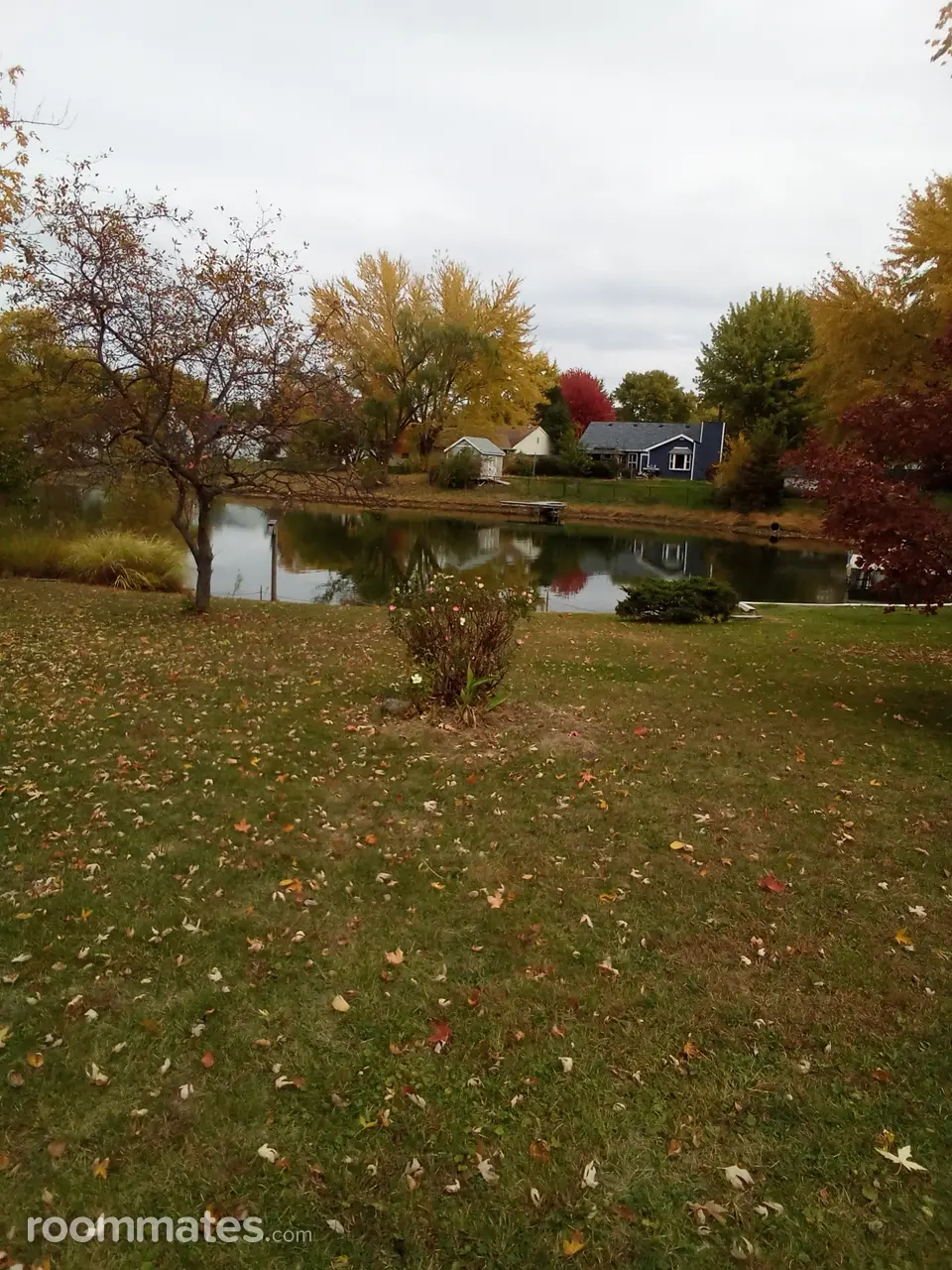 Profile photo 17 of 17