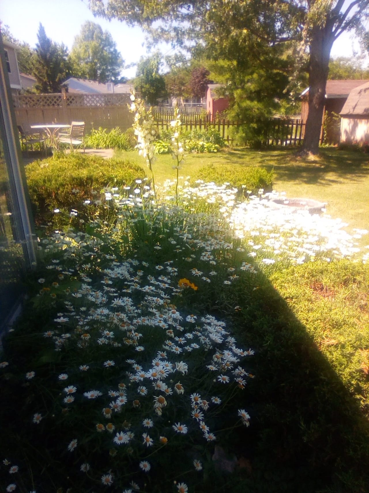 Profile photo 2 of 17