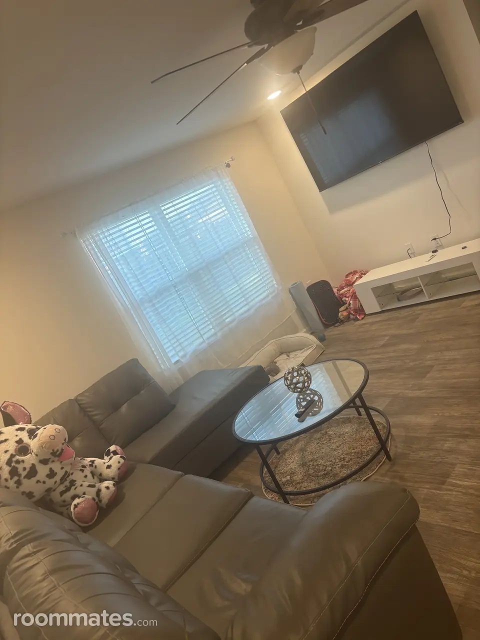 Profile photo 2 of 8